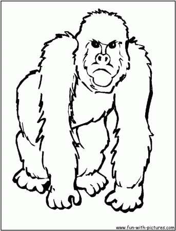 Gorilla Coloring Page 19 African Animal Coloring Pages Theanimals 
