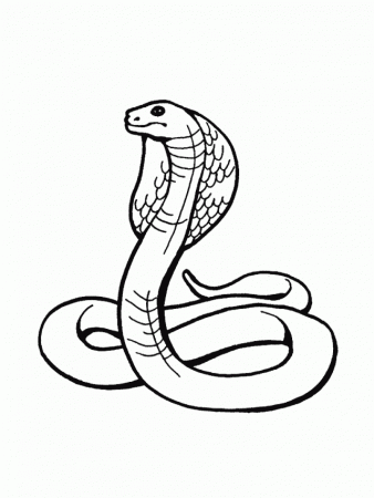 Rattlesnake Coloring Pages 31420 Label Coloring Pages Of A 167743 