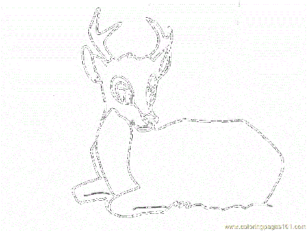 Free Printable Coloring Page Deer Big Eye Mammals Deer 