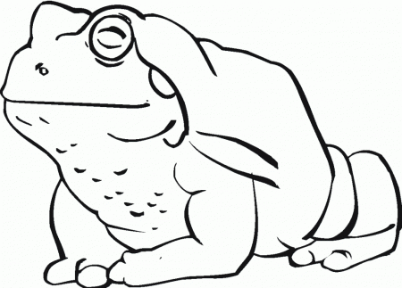 Toad-Coloring-Pages-PicturesFree coloring pages for kids | Free 