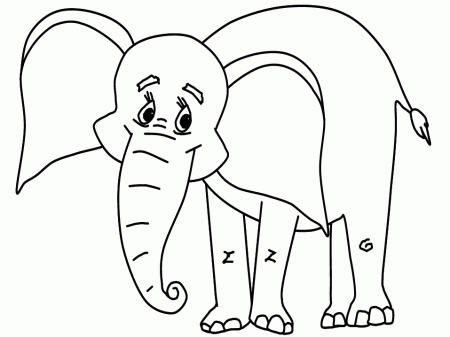 Elephants 7 Animals Coloring Pages & Coloring Book