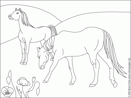 Free Coloring Pages Horses