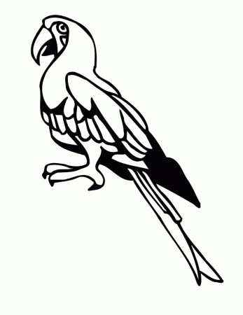 tropical birds Colouring Pages
