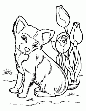 coloring pages - Animals » Dog (1148) - Dog