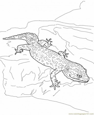 Coloring Pages Leopard gecko lizard (Reptile > Lizard) - free 