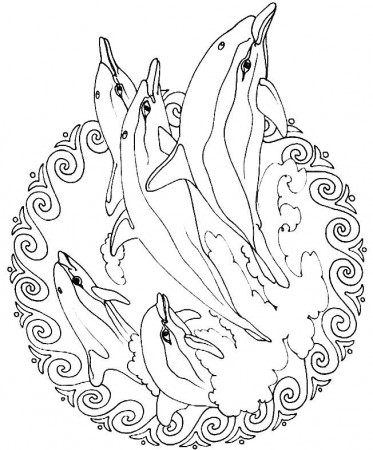 Animal Coloring Pages For Adults #4114 Disney Coloring Book Res 