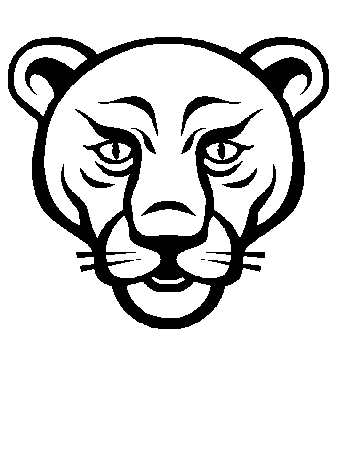 face tiger Lion Animals Coloring Pages - smilecoloring.com