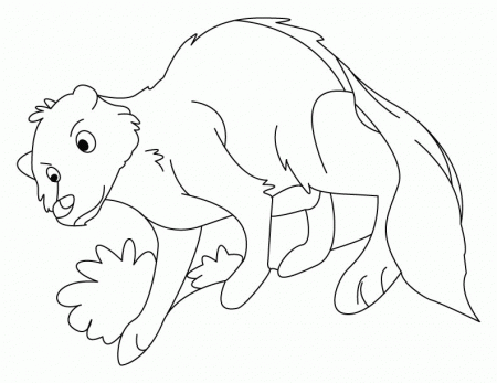 Mongoose making his burrow coloring pages | Download Free Mongoose 