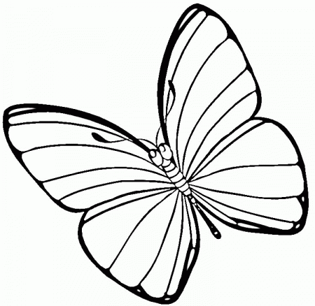 Easter Butterfly Coloring Online | Super Coloring