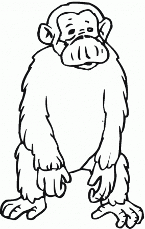Sad Chimpanzee Coloring Online Super Coloring 215888 Chimpanzee 