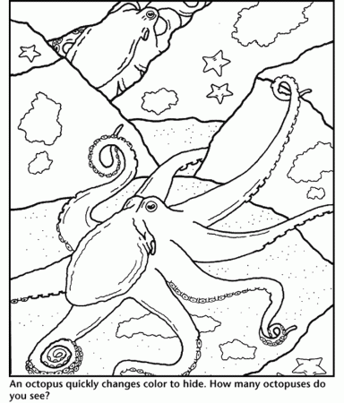 Octopus Coloring Pages And Free: Octopus Coloring Pages And Free