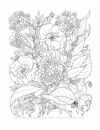 Printable Flower Coloring Pages For Adults Printable Coloring 