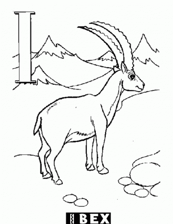 animal coloring pages online :Kids Coloring Pages | Printable 