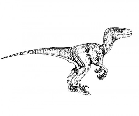 13 Jurassic Park Coloring Page