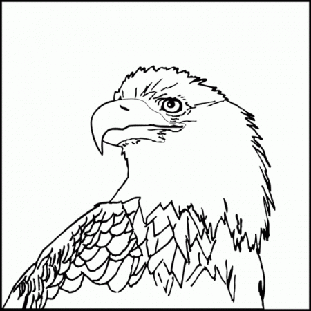 Coloring Pages A Eagle - HD Printable Coloring Pages