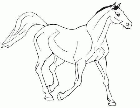 flying horse coloring pages : Printable Coloring Sheet ~ Anbu 