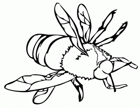 Honey Bee Coloring Page Coloring Pages Hello Kitty Coloring 270849 
