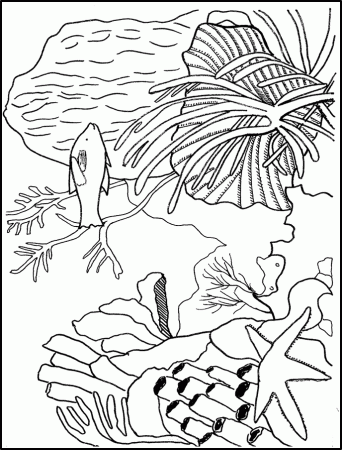 coral reef ft dot Colouring Pages