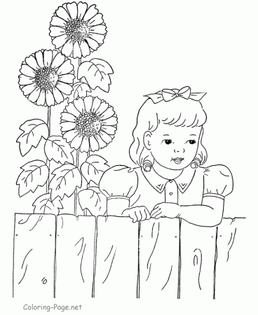 Flower coloring pages - Sunflower