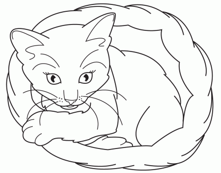 Realistic Cat Coloring Pages