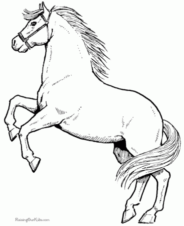 coloring pages of horses and ponies - Free Coloring Pages for Kids
