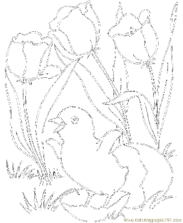 Coloring Pages Spring (Birds > Chicks, Hens and Roosters) - free 