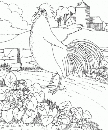 Free Printable Coloring Page Rhode Island State Bird And Flower 