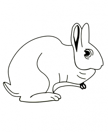 Arctic Hare Coloring Page | Coloring