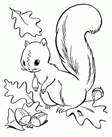 squirrel-coloring-pages-492.jpg