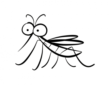 Mosquito coloring page | ColorDad