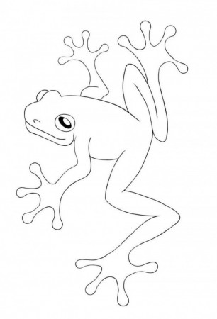 Frog Life Cycle Coloring Pages | 99coloring.com