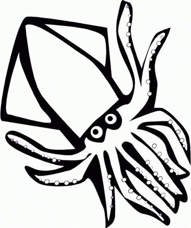 Sea animals kids coloring pictures, Beach animals coloring pages