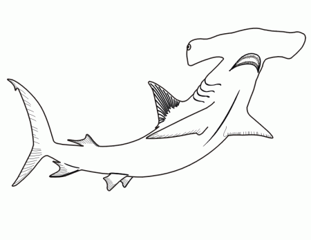 Hammerhead Shark coloring page | Sharks for Syd 8/10/13
