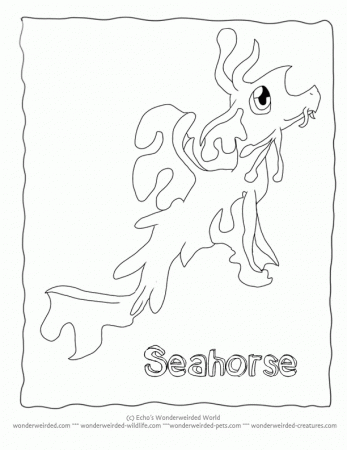 Printable Cartoon Coloring Pages Seahorse Seadragon,Echo's Cartoon 