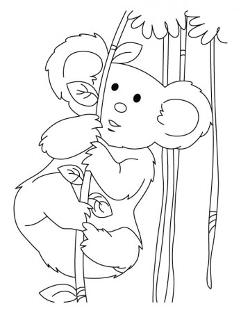 Koala full of energy coloring pages | Download Free Koala full of 
