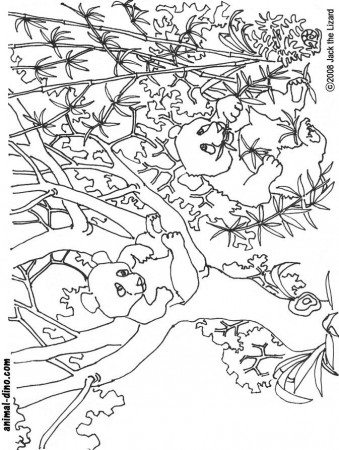 Animal Coloring Page (Giant Panda) Print Size - Jack the Lizared 