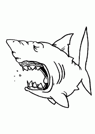 Related Pictures Pokemon Shark Coloring Pages Animal Coloring 