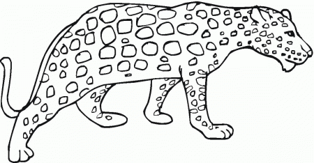 Cheetah Coloring Pages | Coloring Pages For Kids