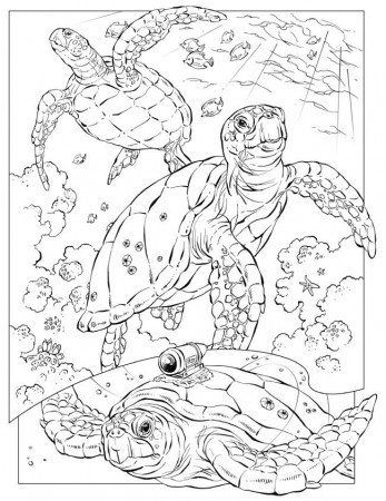Ocean Animal Coloring Pages | Coloring Pages
