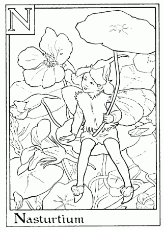 Print Letter N For Nasturtium Flower Fairy Coloring Page or 