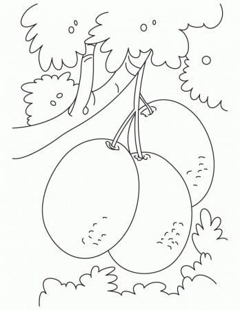 tree Kiwi Fruit Coloring Pages for kids | Great Coloring Pages