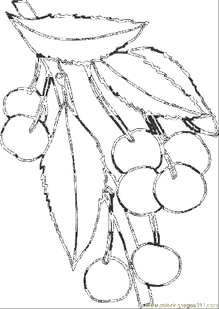Coloring Pages Cherries (Food & Fruits > Cherries) - free 