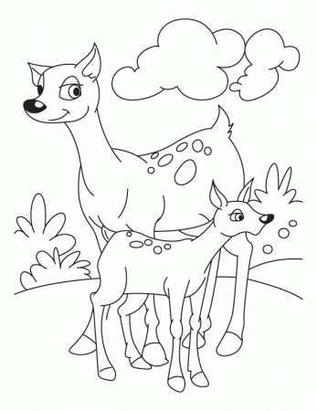Fawn with deer coloring pages | Download Free Fawn with deer 