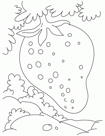 Growing strawberry coloring pages | Download Free Growing 