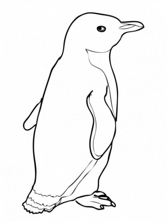Penguin With Scraft Coloring Page | Kids Coloring Page