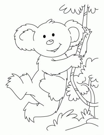 Swinging koala coloring pages | Download Free Swinging koala 