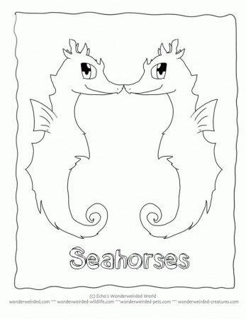 Cartoon Animals Coloring Pages Seahorse, Fantasy Coloring Pages of 