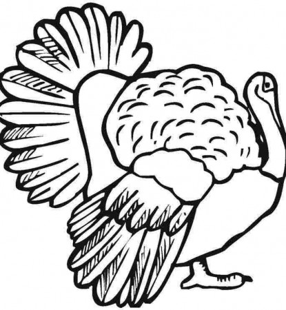 Printable Thanksgiving Turkey Coloring Pages #