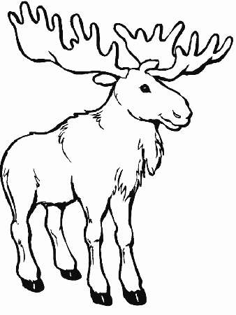 Moose Coloring Pages online | Animal Coloring Pages | Kids 