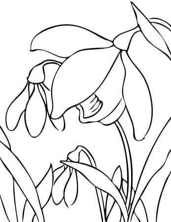 zoo animal coloring page